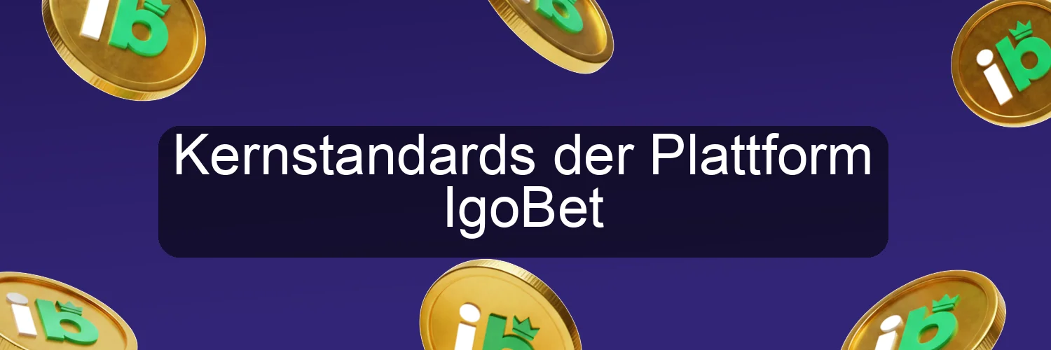 Kernstandards der Plattform IgoBet